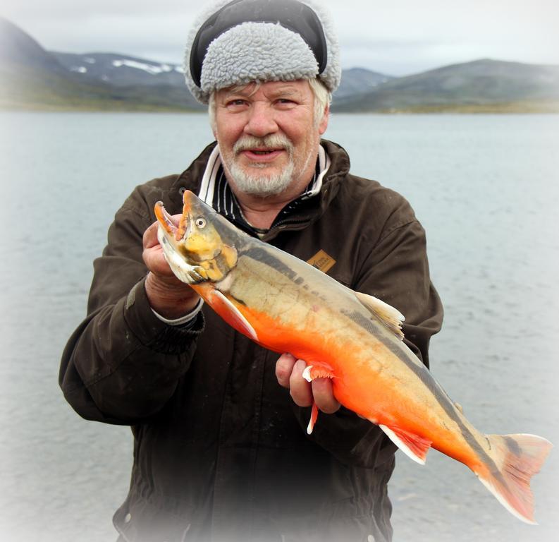 Saivaara Cottages Kilpisjärvi الغرفة الصورة
